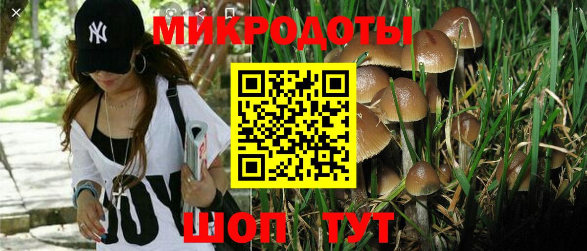 Галлюциногенные грибы Psilocybine cubensis Оренбург