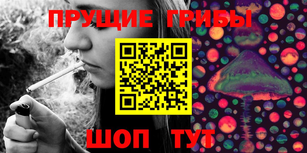 Оренбург  Псилоцибиновые грибы MAGIC MUSHROOMS  Вход с VPN  где купить наркотик  Псилоцибиновые грибы GOLDEN TEACHER 